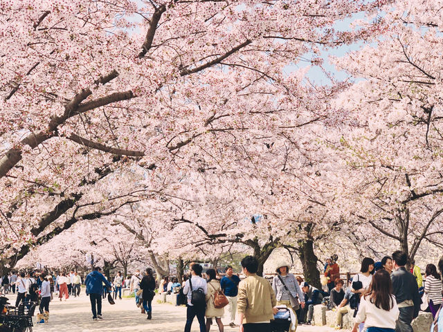 If there were no beautiful cherry blossoms in the world, where could spring hearts find leisure?