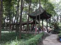 A Must Visit Monastery in Chengdu🇨🇳