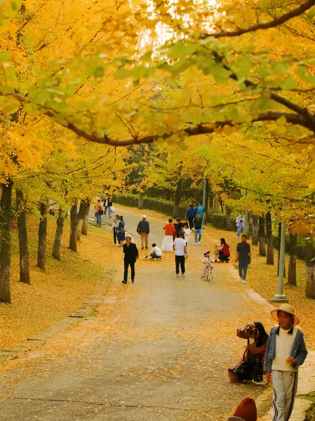 贵阳观山湖公园での写真撮影はとても雰囲気があります