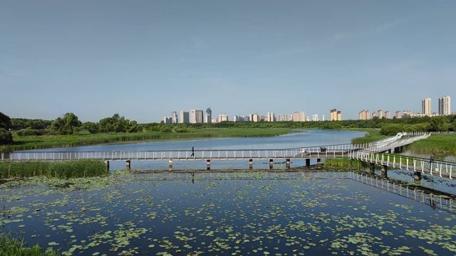 哈爾濱文化中心濕地公園