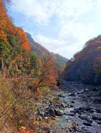 光霧山之米倉山景區