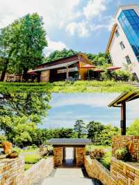 民宿推薦 位於宜昌原始森林裡的酒店【遠安太平頂森林度假酒店】
