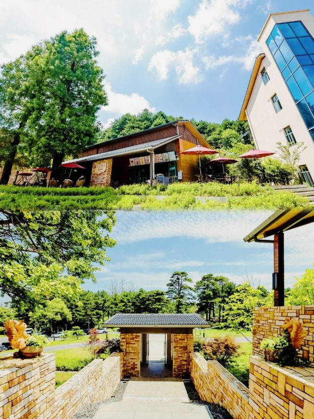 民宿推薦 位於宜昌原始森林裡的酒店【遠安太平頂森林度假酒店】