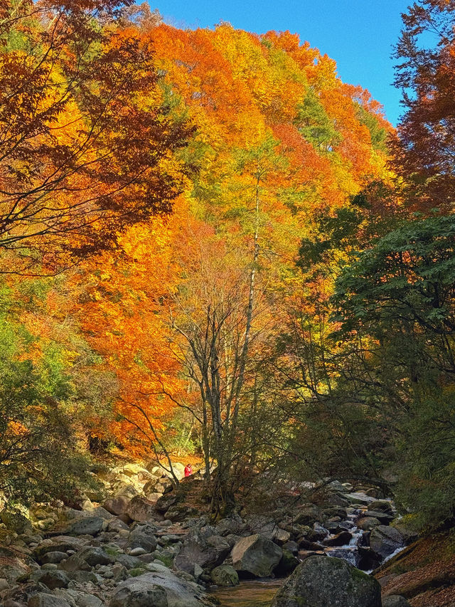 川東北旅行丨尋找四川秋日名片（十八月潭篇）