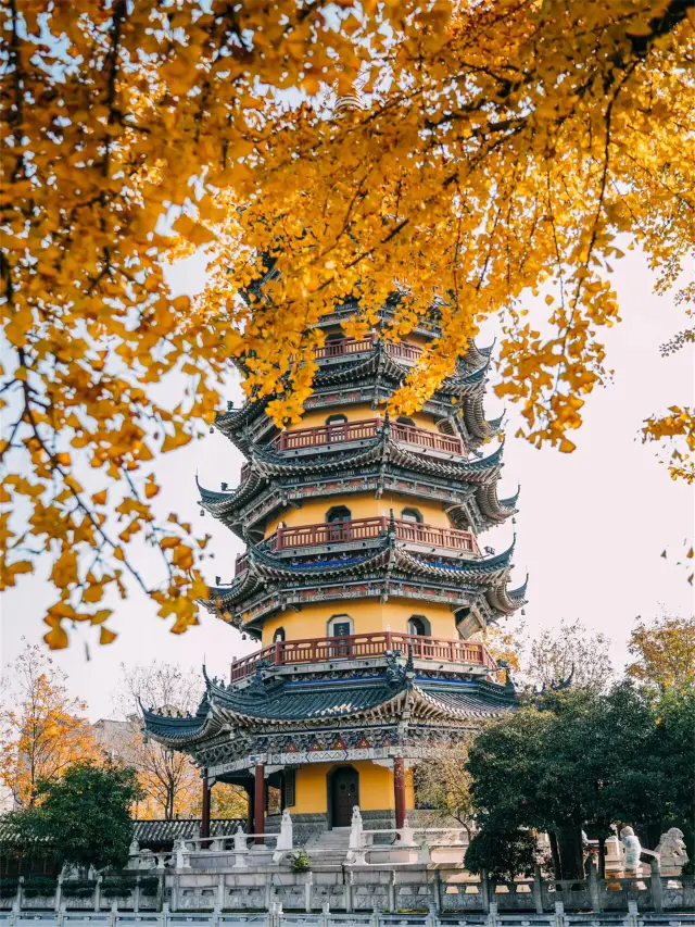 Don't miss Dinghui Temple, let's appreciate this golden autumn together!