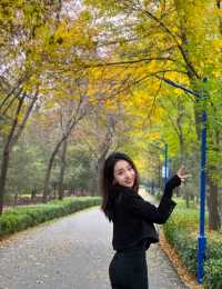 秋冬版City walk｜來太原森林公園踩樹葉啦！