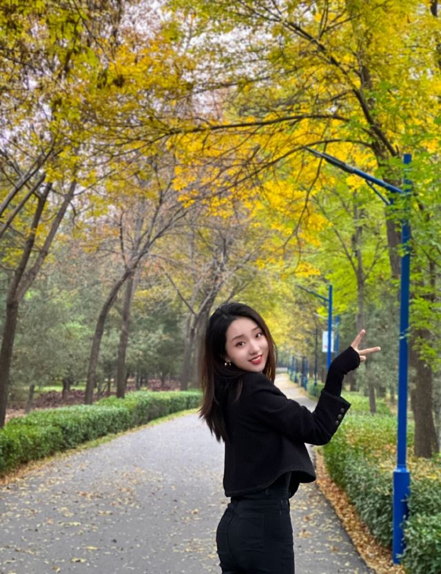 秋冬版City walk｜來太原森林公園踩樹葉啦！