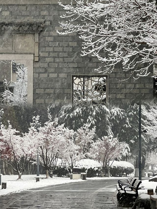 雪滿金陵城：中華門到夫子廟的雪中漫步