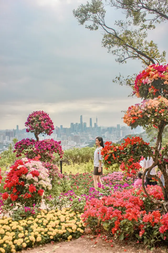 Visit the flower exhibition and climb a mountain by the way, if you don't come now, you'll have to wait until next year