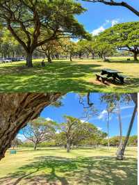 夏威夷卡皮奧拉妮地區公園打卡