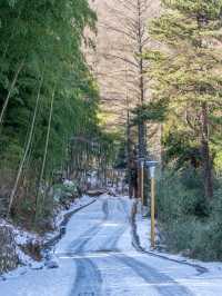 原本以為浙西天池雪景已經夠美了！