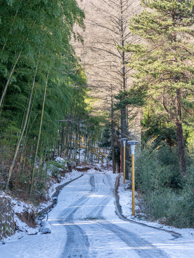 原本以為浙西天池雪景已經夠美了！