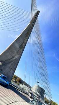 蒂蘭特斯斜拉橋Puente de los Tirantes