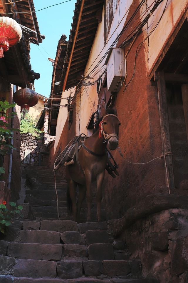 諾鄧•《蠻書》裡同名的千年古村•一個至今都活著的古村 諾鄧•《蠻書》裡同名的千年古村•一個至今都活著的古村