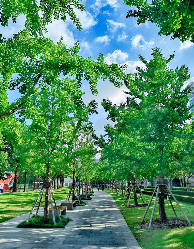 這段濱江，視野開闊、景色迷人