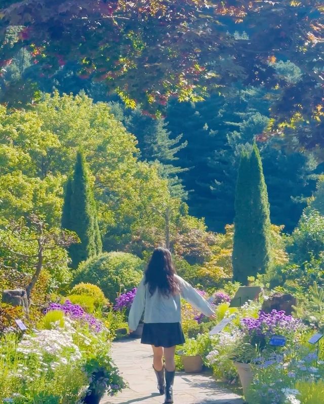 요정 살고 있는거 아냐..? 현 시각 제일 예쁜 아침고요수목원🧚🏻‍♀️♥️