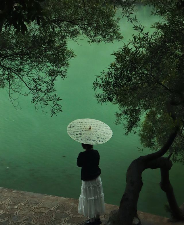 柳州，這座被譽為“綠寶石”的城市