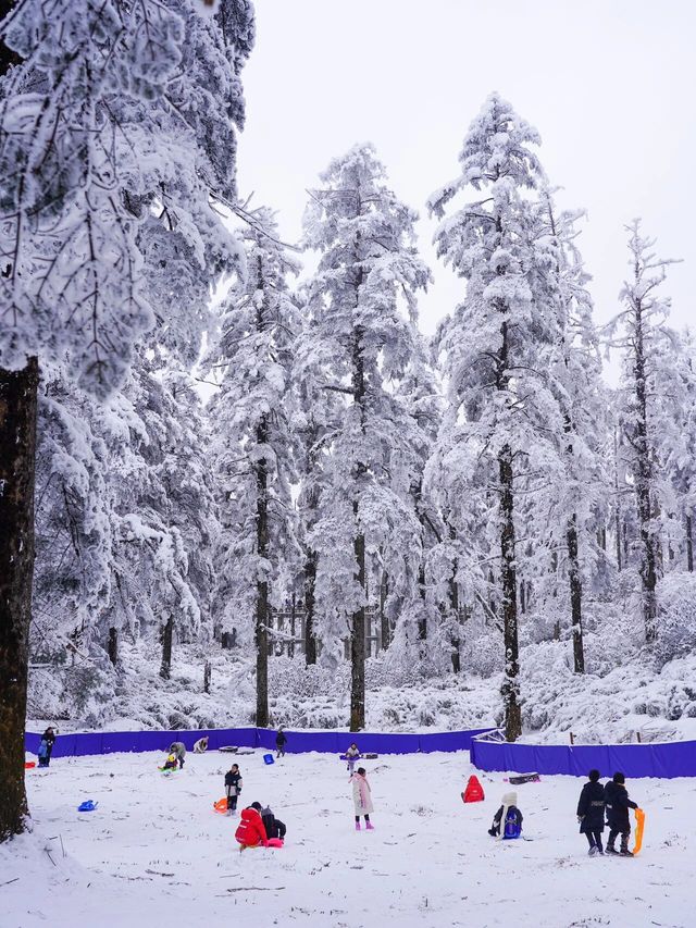 冬日必去瓦屋山現實版雪國童話世界