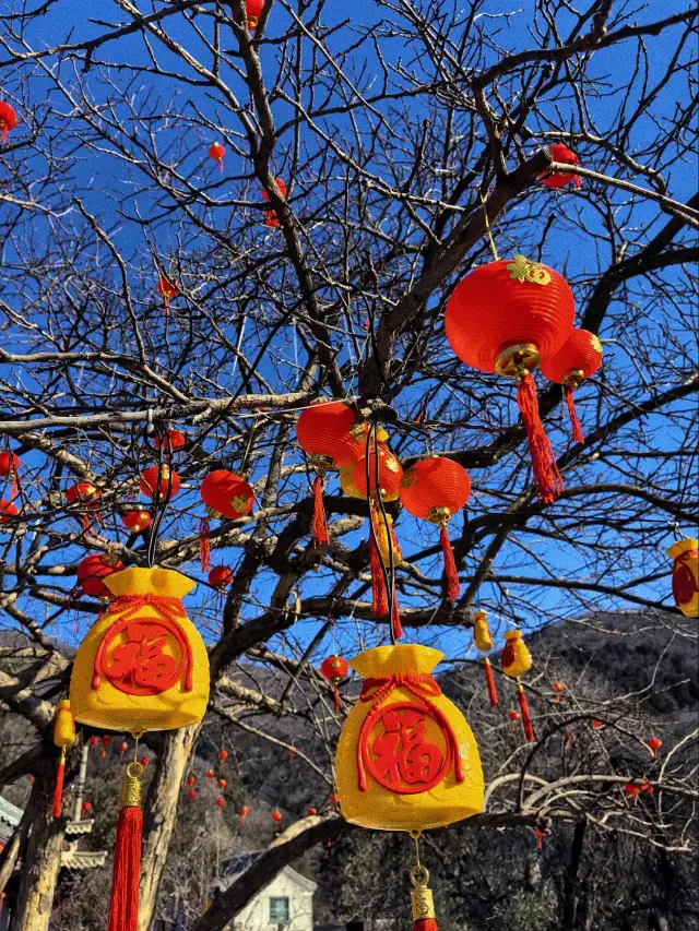 Tan Zhe Temple Prayer Guide, year after year, everyone has a wish!