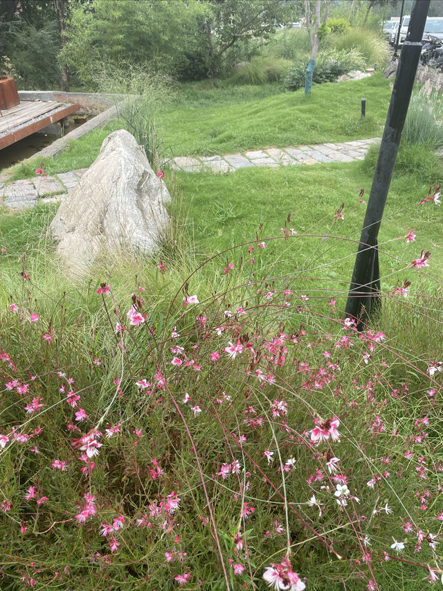 河南•旅遊|雲台山這家民宿絕對要衝衝衝！