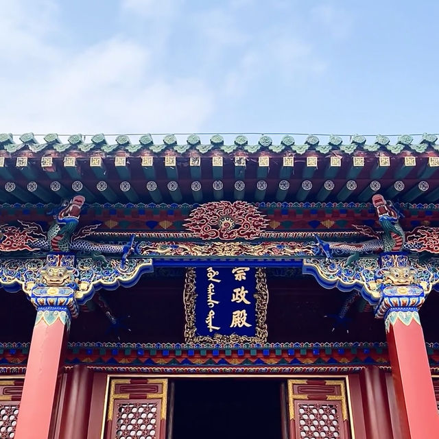 我不去爾賓，也不去北京，我來了沈陽！