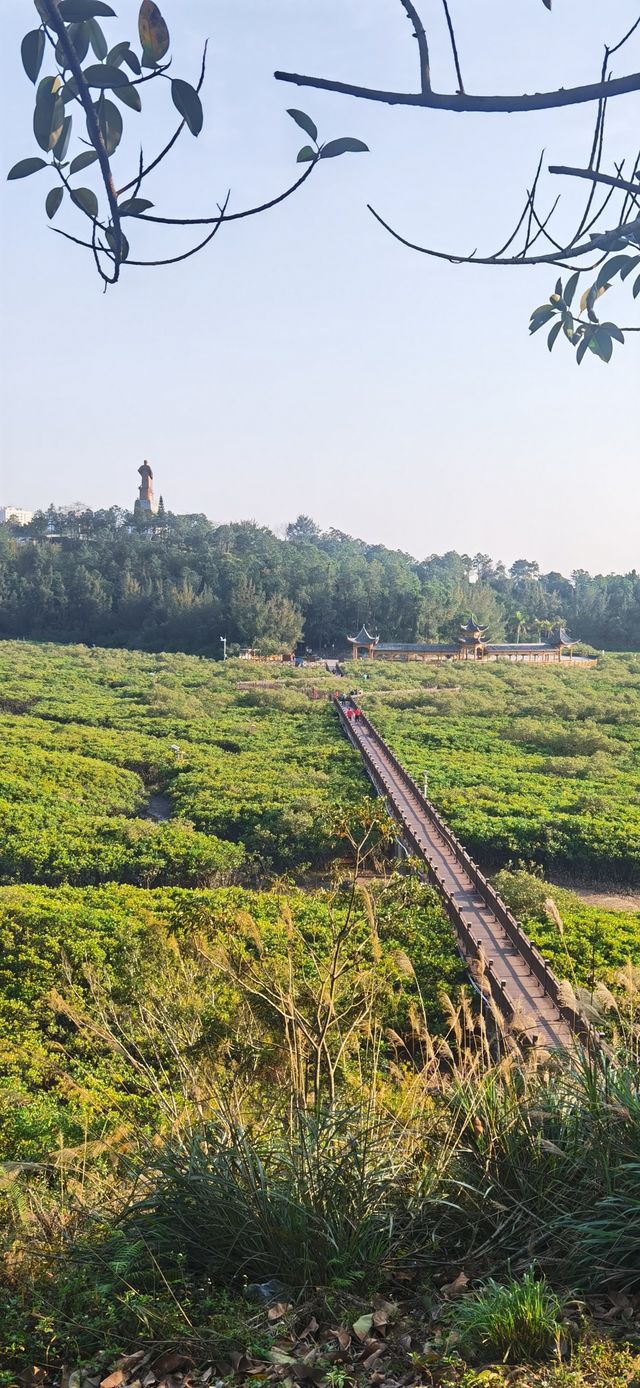 廣西欽州小眾景點仙島公園，全國最大孫中山銅像，千畝紅樹林