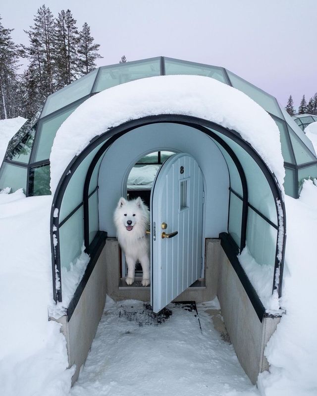 Felix in Finland 🇫🇮✨ Which photo is your favorite? ❤️