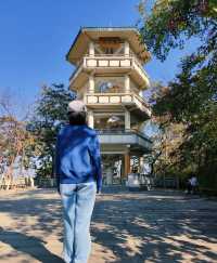 攀枝花公園步道徒步