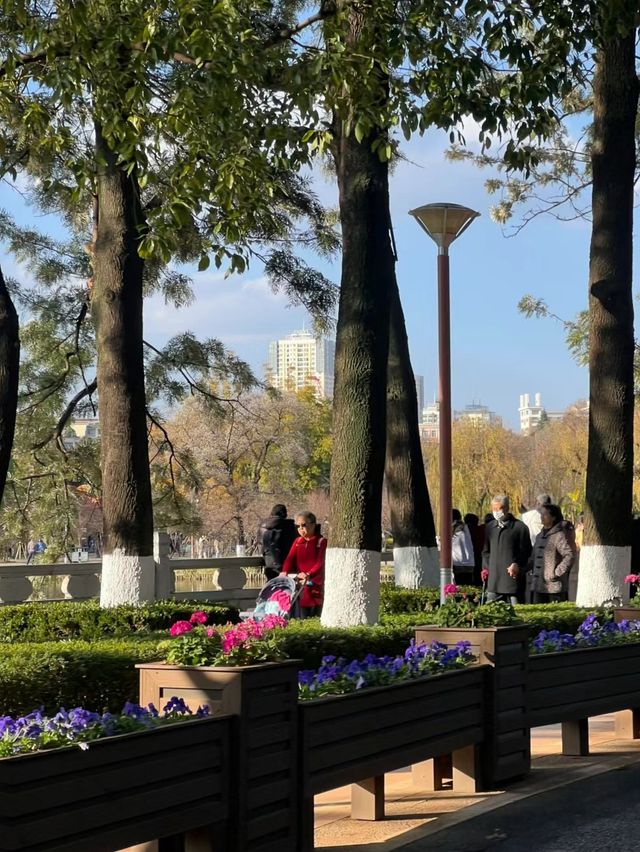 旅行 昆明不應該是一個中轉站