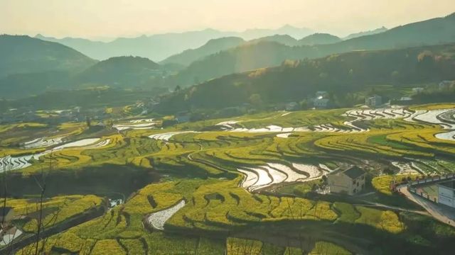 徜徉月河川道，賞清代鳳堰古梯田油菜花海