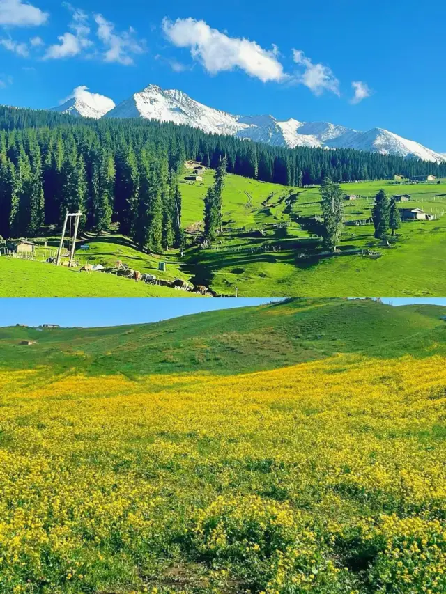 Xinjiang Travel/Northern Xinjiang Panoramic Loop 12-Day Tour Guide