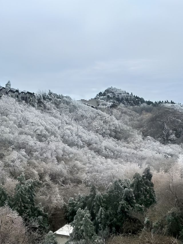 衡山大雪｜來賞霧凇冰雪森林