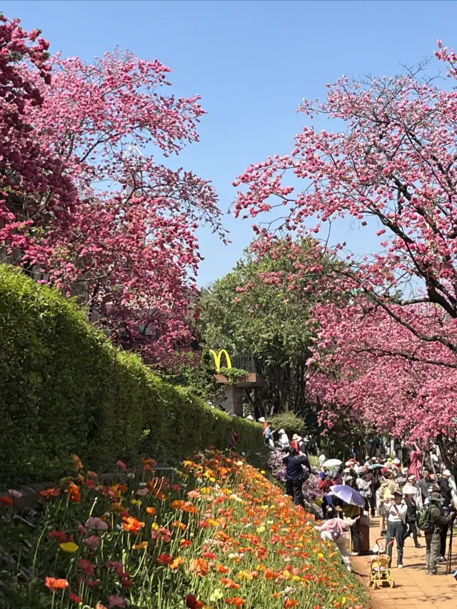 Yuantong Mountain