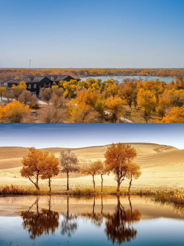 寶藏賞秋之旅紅色阿爾山拍照出片賞秋好去處