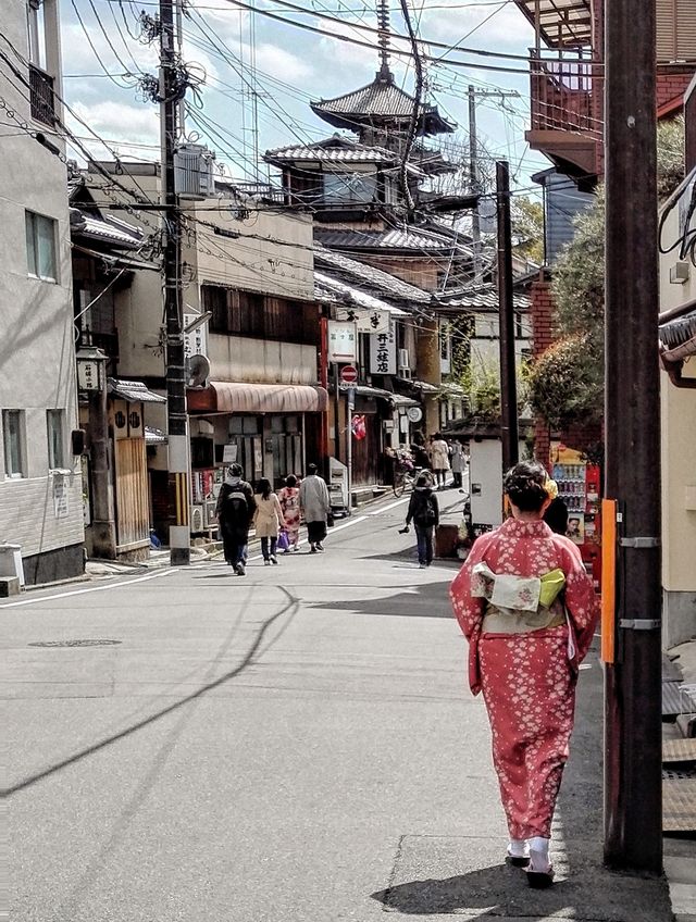 如果你只在京都停留一天，複製這條路線就好
