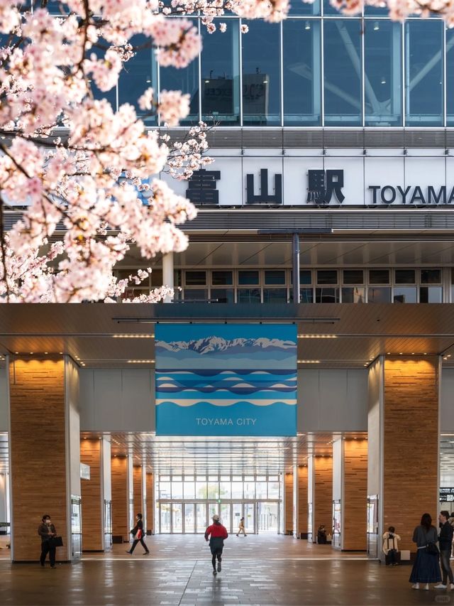富山之旅：探索年輕之美與璀璨風景