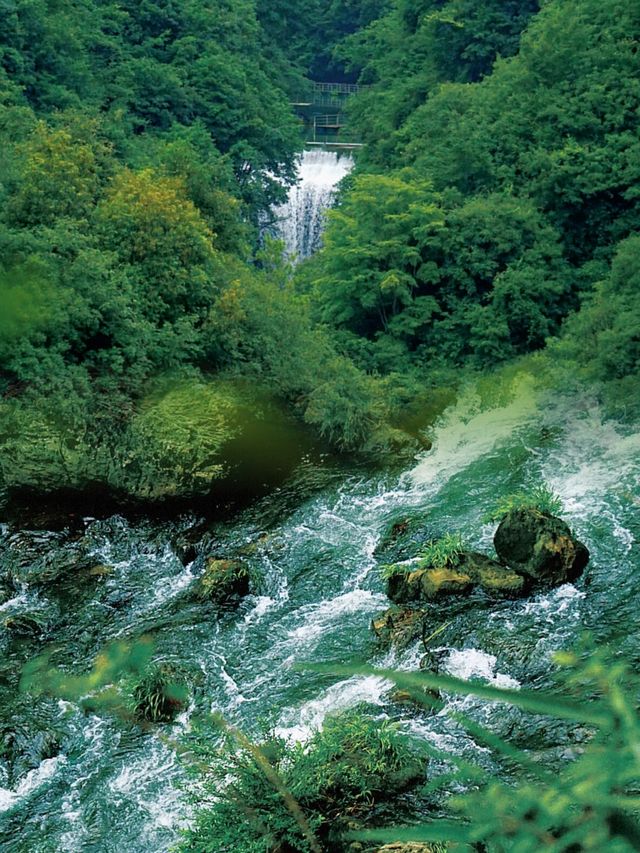 貴陽｜徒步香火岩翻山越嶺，闖進綠野仙踪