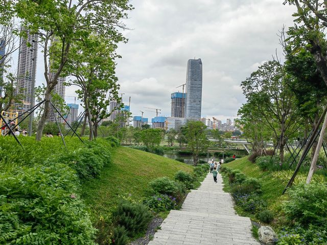 這個城央公園，遛娃撒野好去處