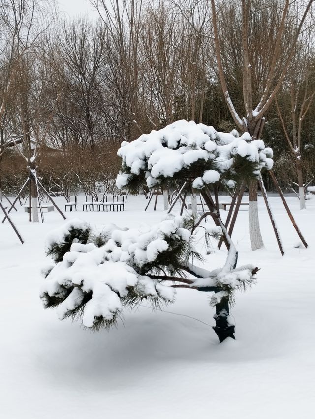 雪趣園博園