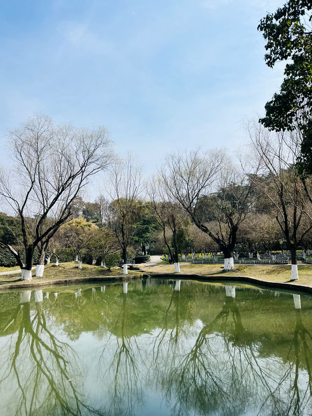 逛逛古林公園