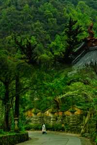 原以為靈隱寺已經很美了‖直到我去了這裡…