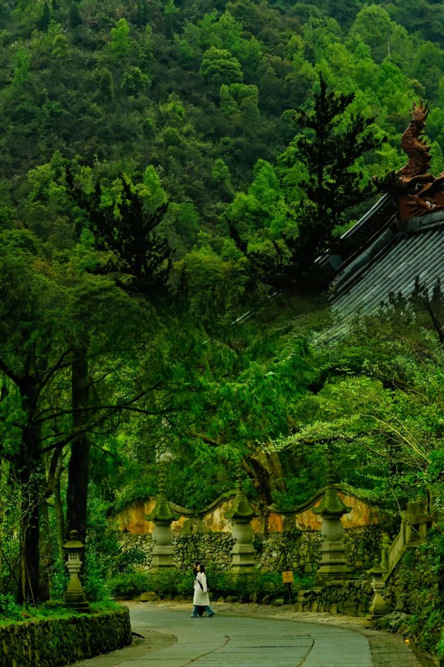 原以為靈隱寺已經很美了‖直到我去了這裡…