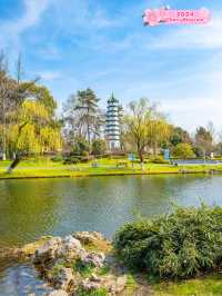 🌊Xuanwu Lake: A Tranquil Oasis in Nanjing 🌸