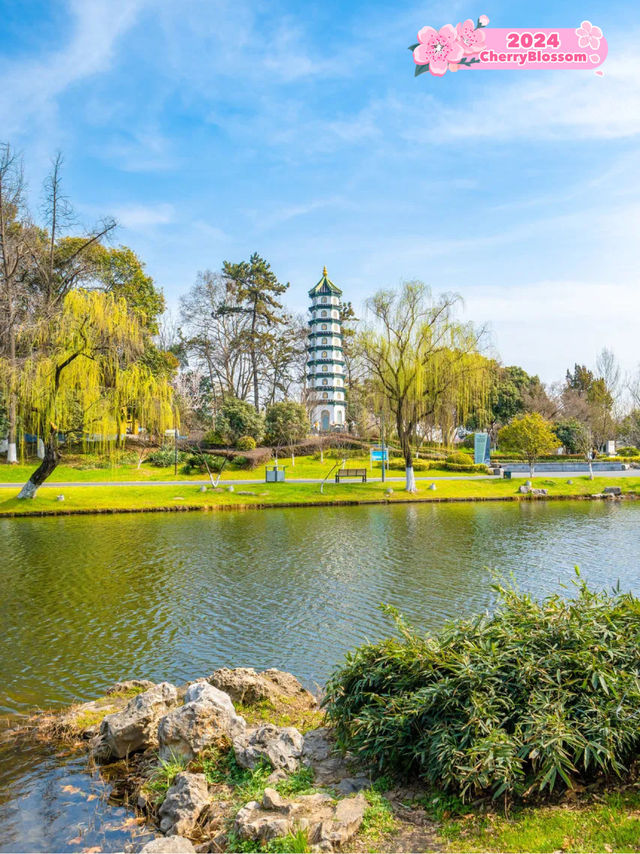 🌊Xuanwu Lake: A Tranquil Oasis in Nanjing 🌸