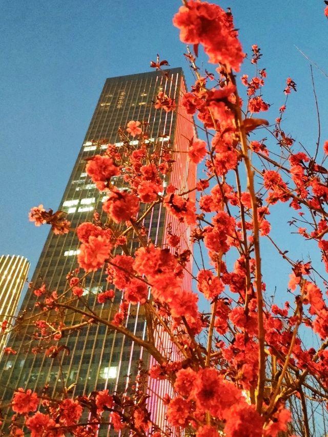 Spring Breeze in Tianjin 