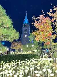 Myeongdong Cathedral Covered with Blossoms🌸