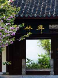 這座不顯眼的城市比蘇州浪漫，比杭州安逸