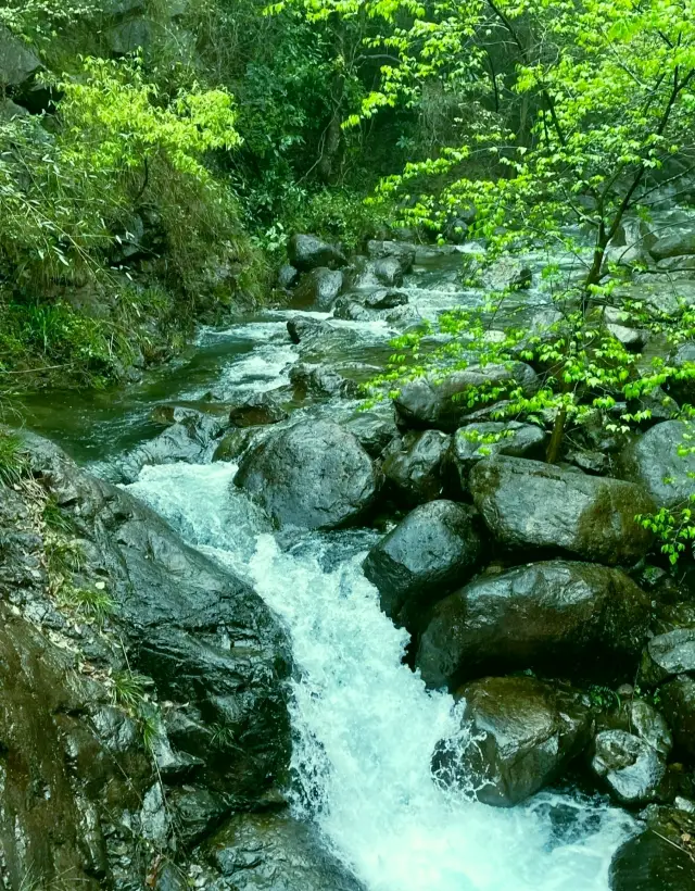 Daqi Mountain National Forest Park in Tonglu -- Hangzhou's 'Little Jiuzhaigou'