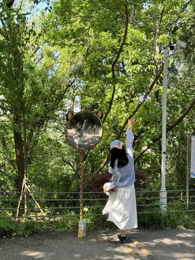 南京の紅山森林動物園にチェックイン！本当に素晴らしいです！必ずチェックインすべき観光スポットです！