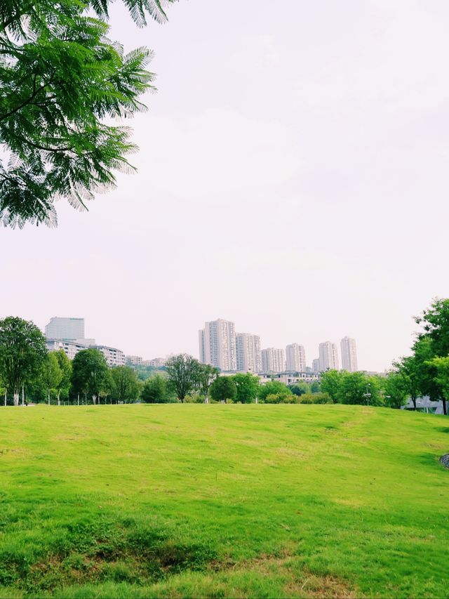 重慶帶娃遛狗好去處，金海灣濱江公園